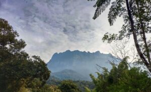 Wyprawa na Borneo – Kinabalu